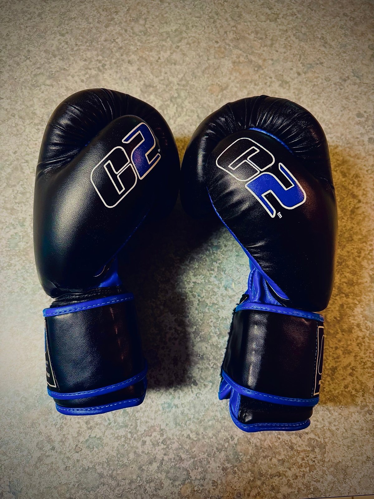 O2 Boxing/MMA Muay Thai Gloves – 16 oz | Free Shipping