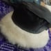 SCALA collection Winter HAT fuzzy peluche plush comfort warmth