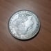 1885 Morgan Dollar Toned
