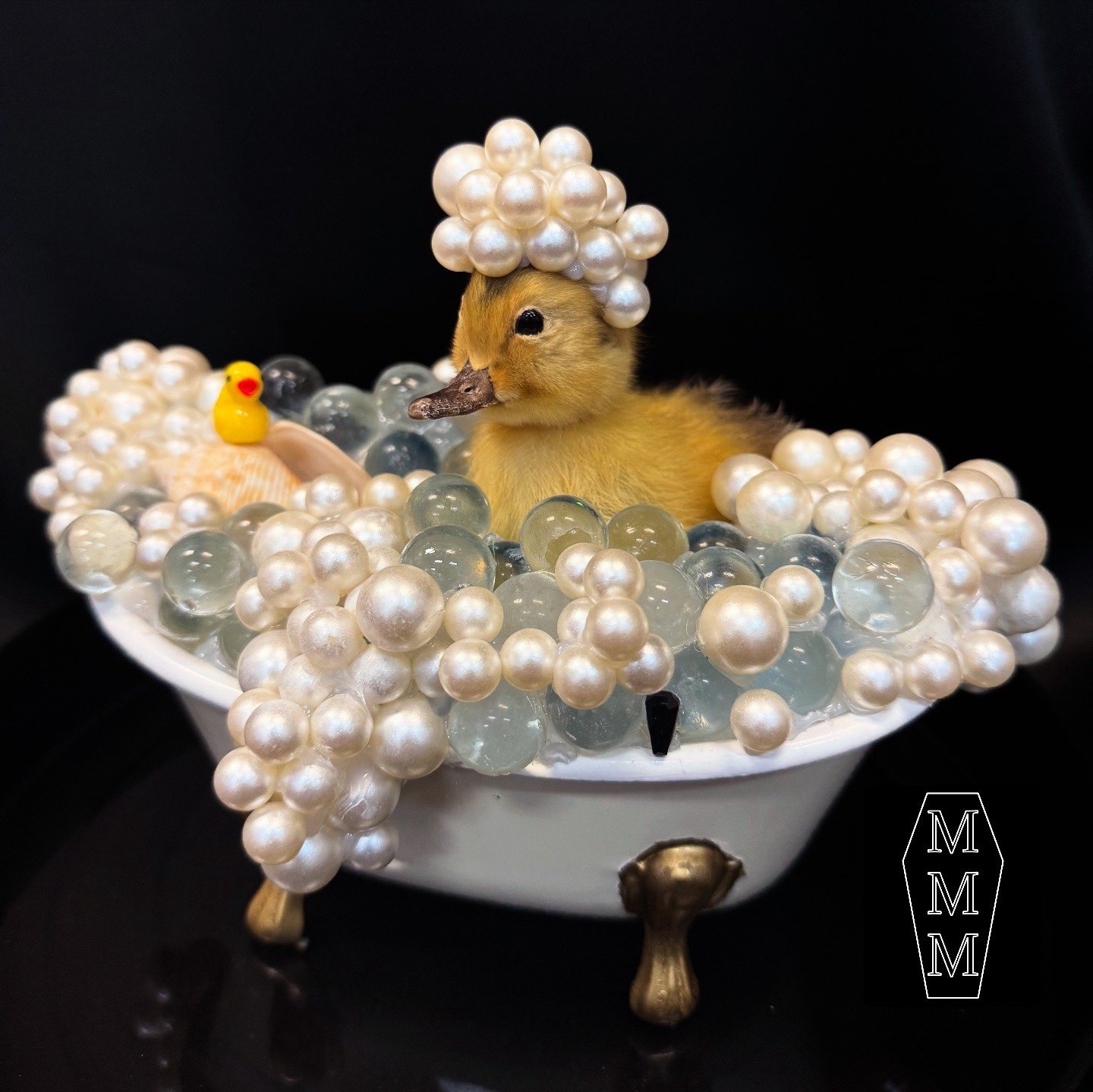 “Spilled the Bubbles” Bubble Ducky