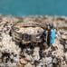 Vintage Turquoise & Sterling Ring