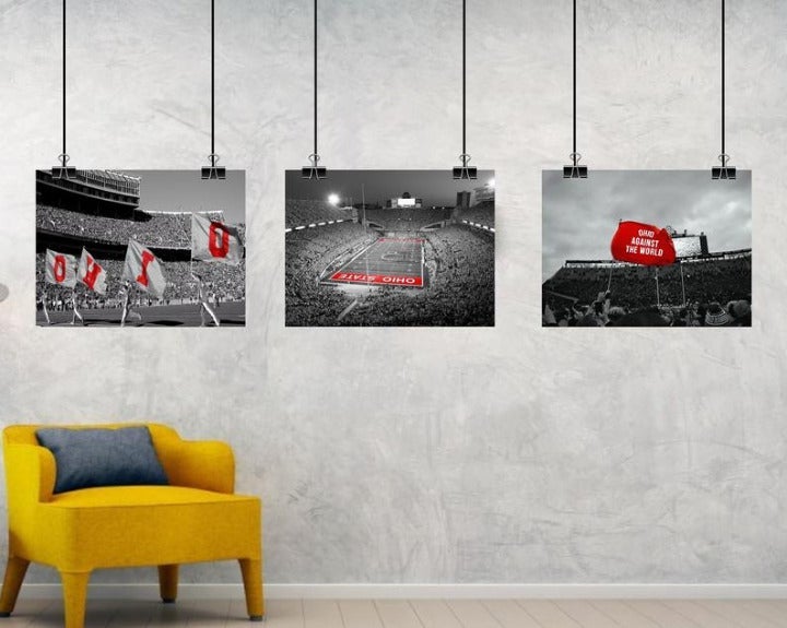 Ohio State Buckeye Stadium Framed Art