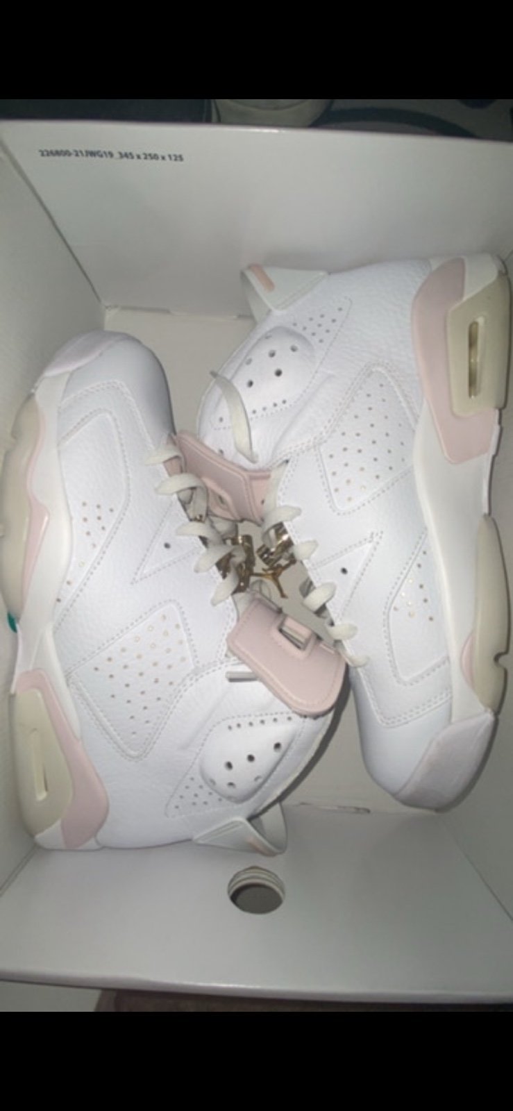 Retro Jordan 6 Gold Hoops