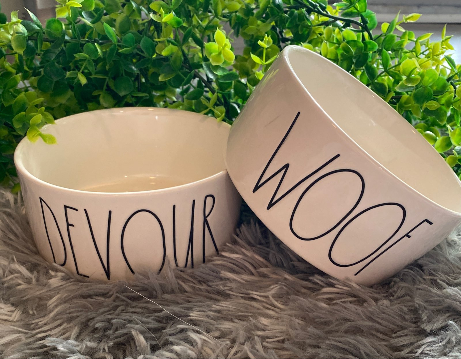 Rae Dunn dog bowls