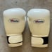 Winning Boxing Gloves