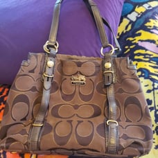 Coach Mia Sateen Outline C Caryall purse