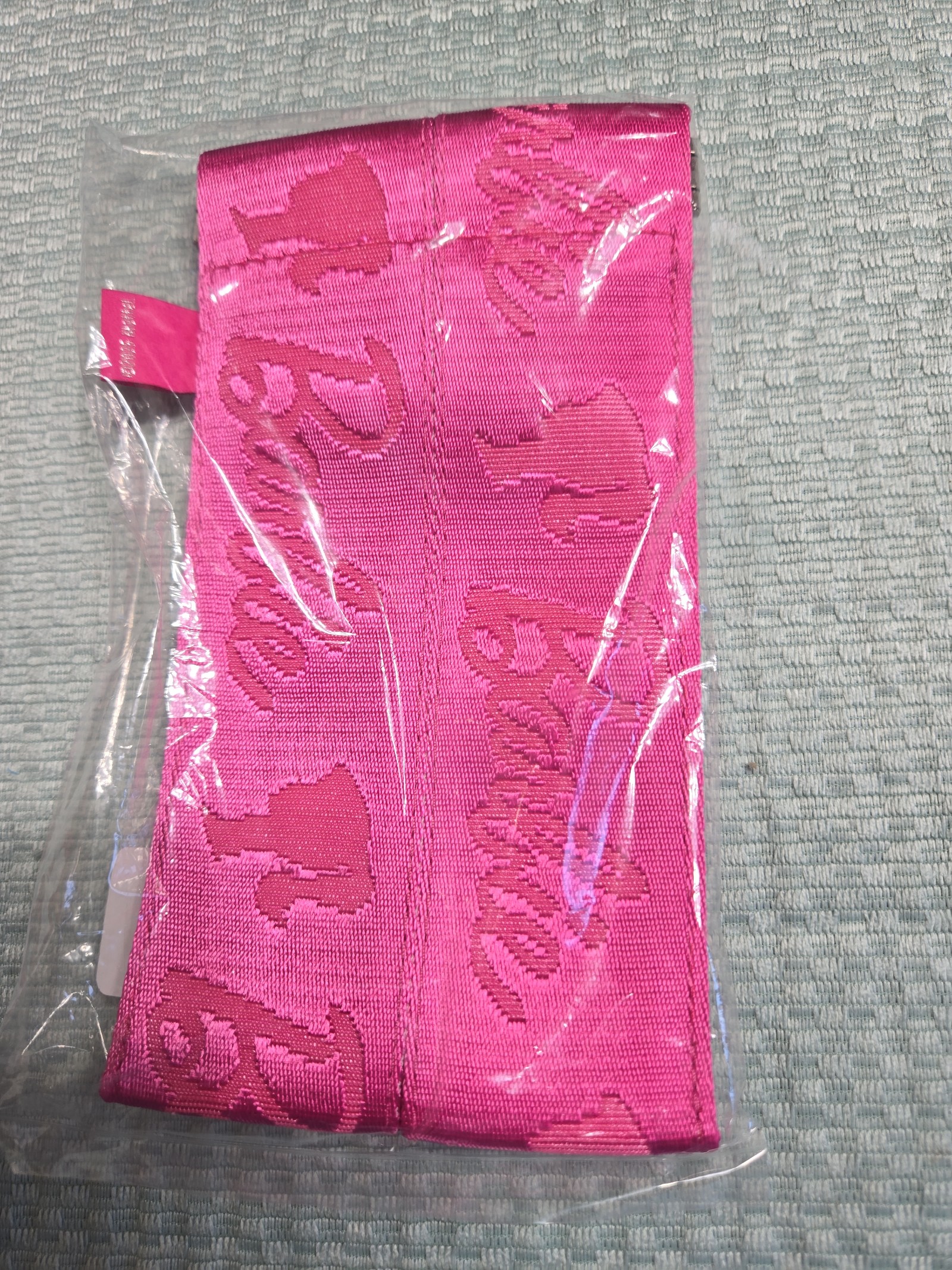 Harvey's seatbelt Barbie glasses case