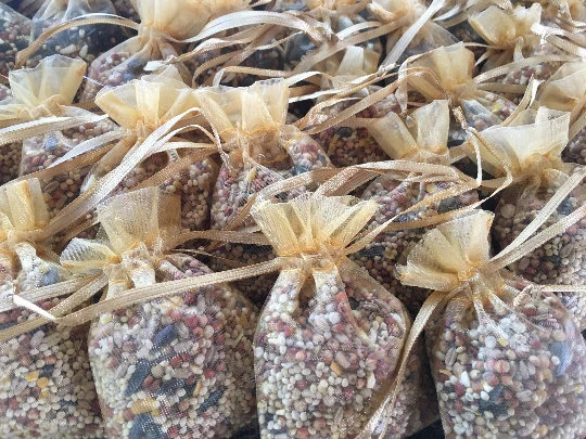 75 Gold-Colored Birdseed Bags, Eco-Friendly Wedding Favors w/Fast Shipping