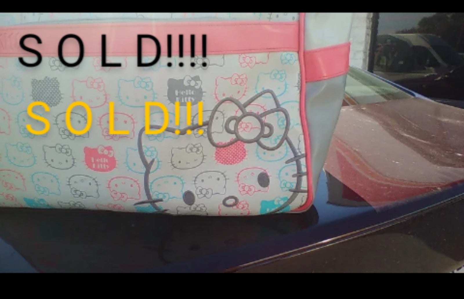 Hello Kitty/ Sanrio Medium size luggage