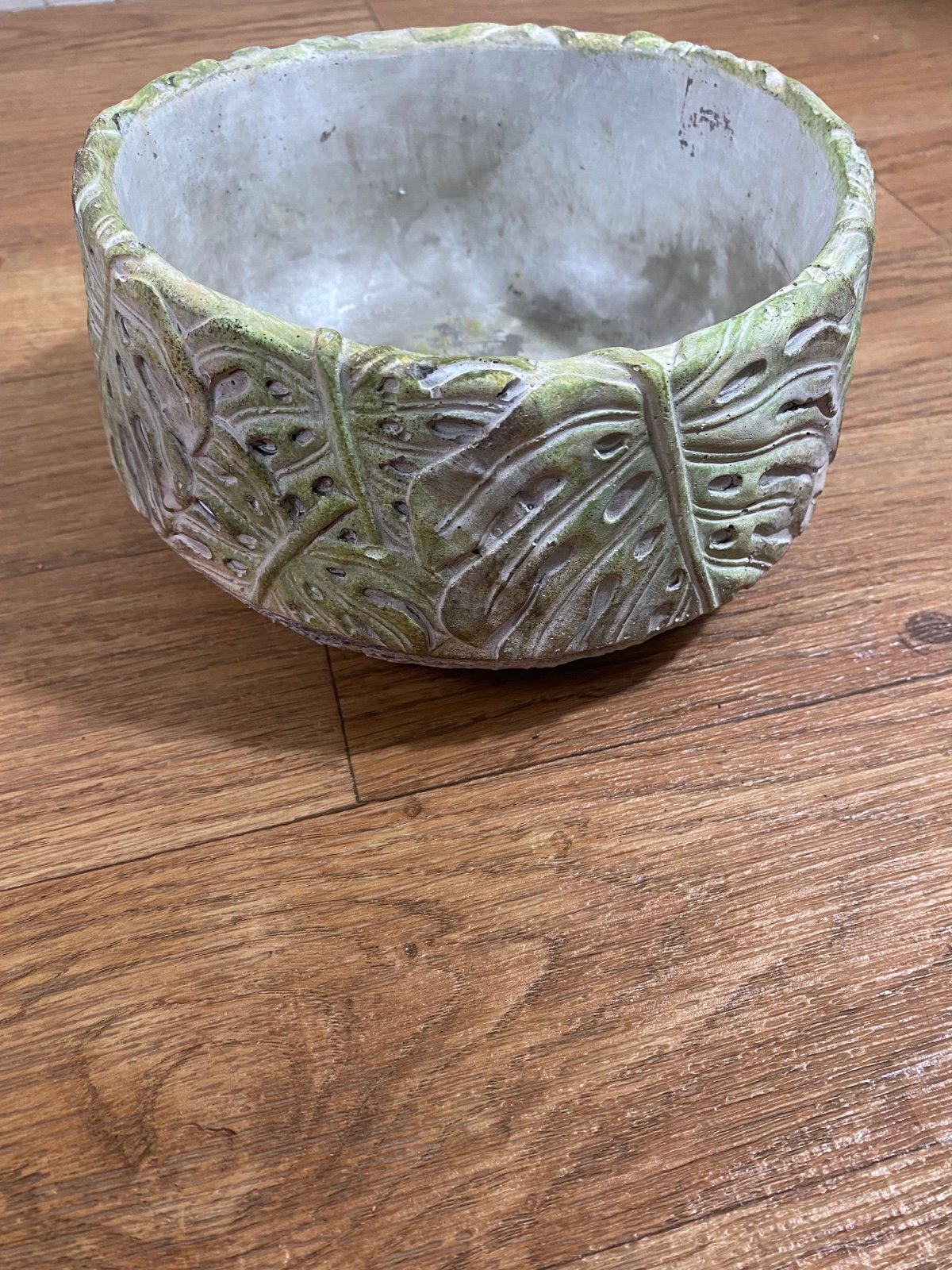 Concrete Cement Tropical Monstera Leaf Design Planter Nature Inspired