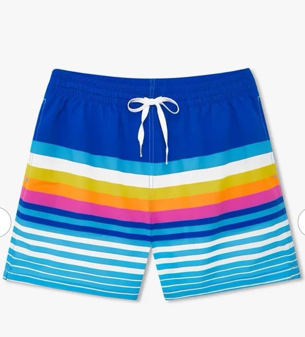 Chubbies Classic Swim Trunk The Newports Blue Stripe 5.5” Inseam Size Small NWT