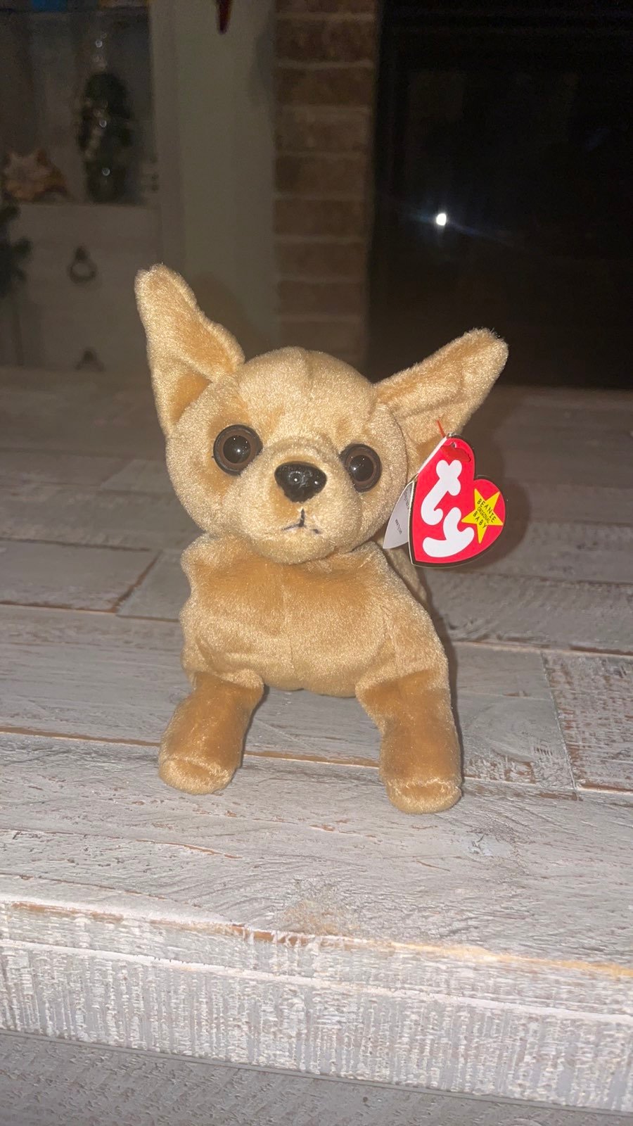 TY Beanie Baby 1998 TINY THE CHIHUAHUA