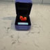 Bitzee Interactive Digital Hologram 3D Pet Takara Tomy Japan