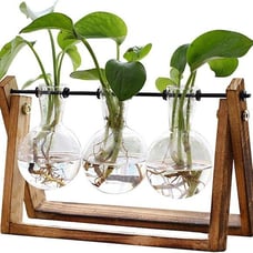 NEW 3 Bulb Plant Terrarium with Wooden Stand, Air Planter Bulb Glass Vase Metal