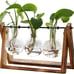 NEW 3 Bulb Plant Terrarium with Wooden Stand, Air Planter Bulb Glass Vase Metal