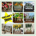 NEW 3 Bulb Plant Terrarium with Wooden Stand, Air Planter Bulb Glass Vase Metal