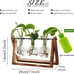 NEW 3 Bulb Plant Terrarium with Wooden Stand, Air Planter Bulb Glass Vase Metal