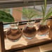 NEW 3 Bulb Plant Terrarium with Wooden Stand, Air Planter Bulb Glass Vase Metal