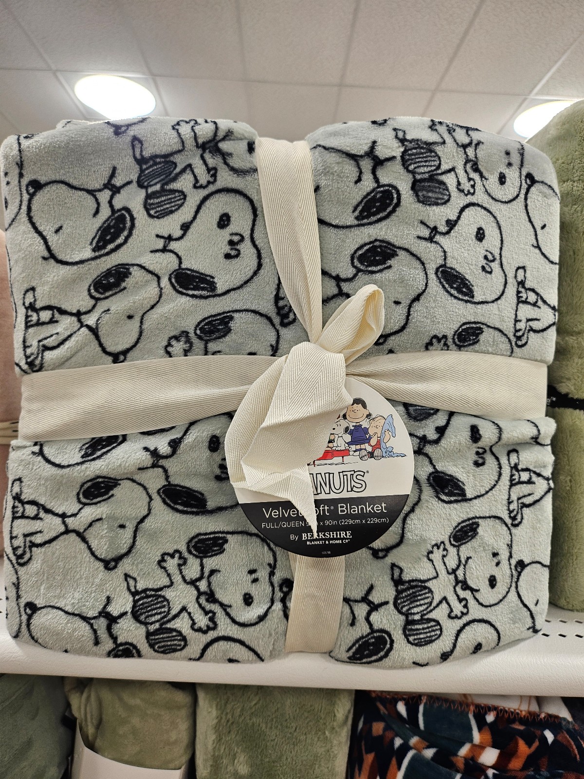 snoopy queen size blanket light green