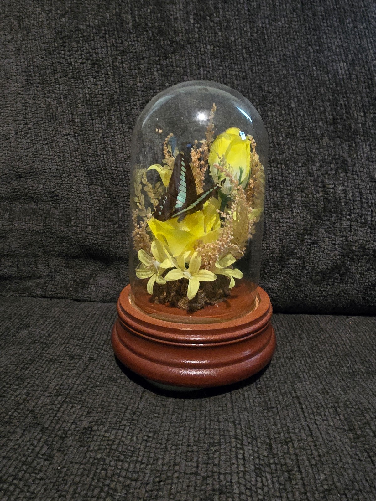Vintage Real Butterfly Floral Diorama Glass Dome