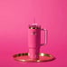 Stanley Tumbler