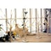 2 Birch Trees (2ft Tall) & 24 LED Lights (Timer Tabletop Bonsai Night Christmas