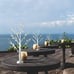 2 Birch Trees (2ft Tall) & 24 LED Lights (Timer Tabletop Bonsai Night Christmas