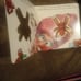 Children's Book