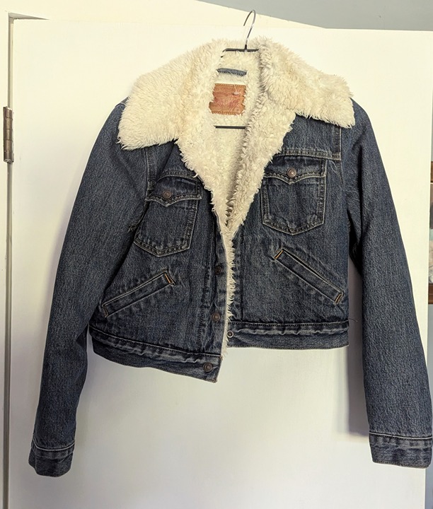 Levi's sherpa jacket