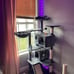Cat Tree 57 inches Multi-Level Cat Condo with Scratching