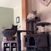 Cat Tree 57 inches Multi-Level Cat Condo with Scratching