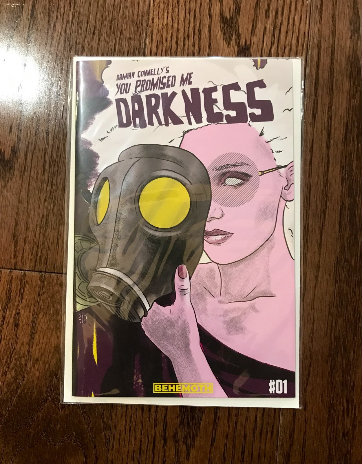 You Promised Me Darkness #1 Borden Cvr