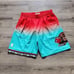 Mitchell & Ness Vancouver Grizzlies 1996 Fadeaway Swingman Shorts Mens Large