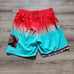 Mitchell & Ness Vancouver Grizzlies 1996 Fadeaway Swingman Shorts Mens Large