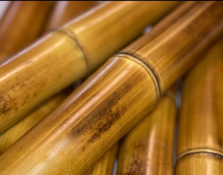 2 Flame Cured 1.5” Diameter Bamboo Poles 5ft poles