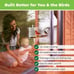 Window Bird Feeder Weatherproof Clear Bird House with Strong Suction Cups