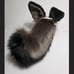 pup ears tail and free collar