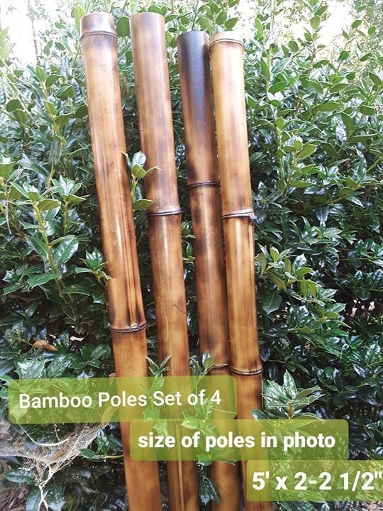 Bamboo Poles