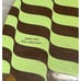 Bam Margera Element “Gamma” Deck 2004 Skateboard Deck Complete