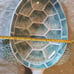 XLARGE Better Homes & Gardens Melamine 3D Beach SEA TURTLE 22 x 14 Serving Bowl