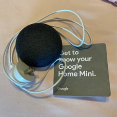 Google home mini