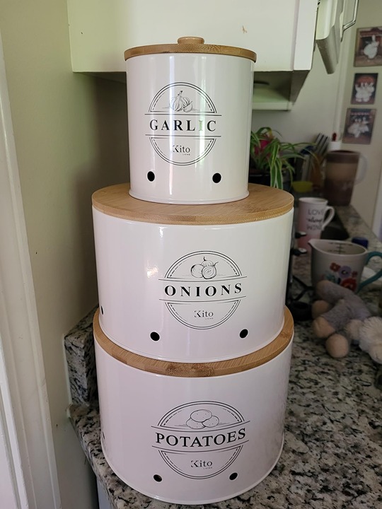 Canisters Sets for Kitchen Counter Storage and Organization with Wood Lids