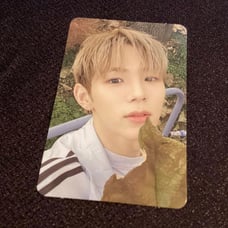 RIIZE riizing shotaro soundwave photocard