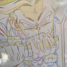Rare Bandai Dragon Ball Super Trunks genga drawing art piece (BIG) made in Japan