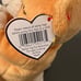 RARE TY Beanie Baby - HOPE the Praying Bear