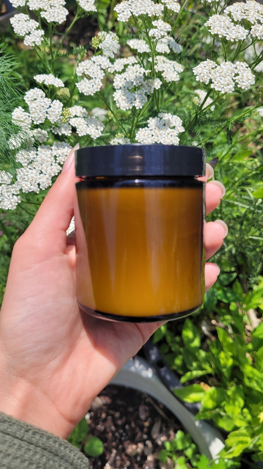 Tallow balm moisturizer