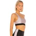 KORAL*Rade Limitless Plus Sportsbra*XS