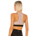 KORAL*Rade Limitless Plus Sportsbra*XS