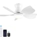 Ceiling Fan with Lights, 30 inch Remote Control, Low Profile DC Smart Ceiling Fa