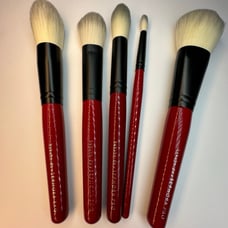 Hakuhodo + Sephora Pro Brush collection Set of 5